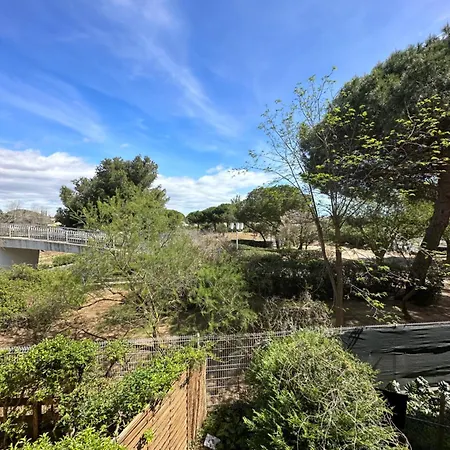 Cosy Du Mole Apartment Agde